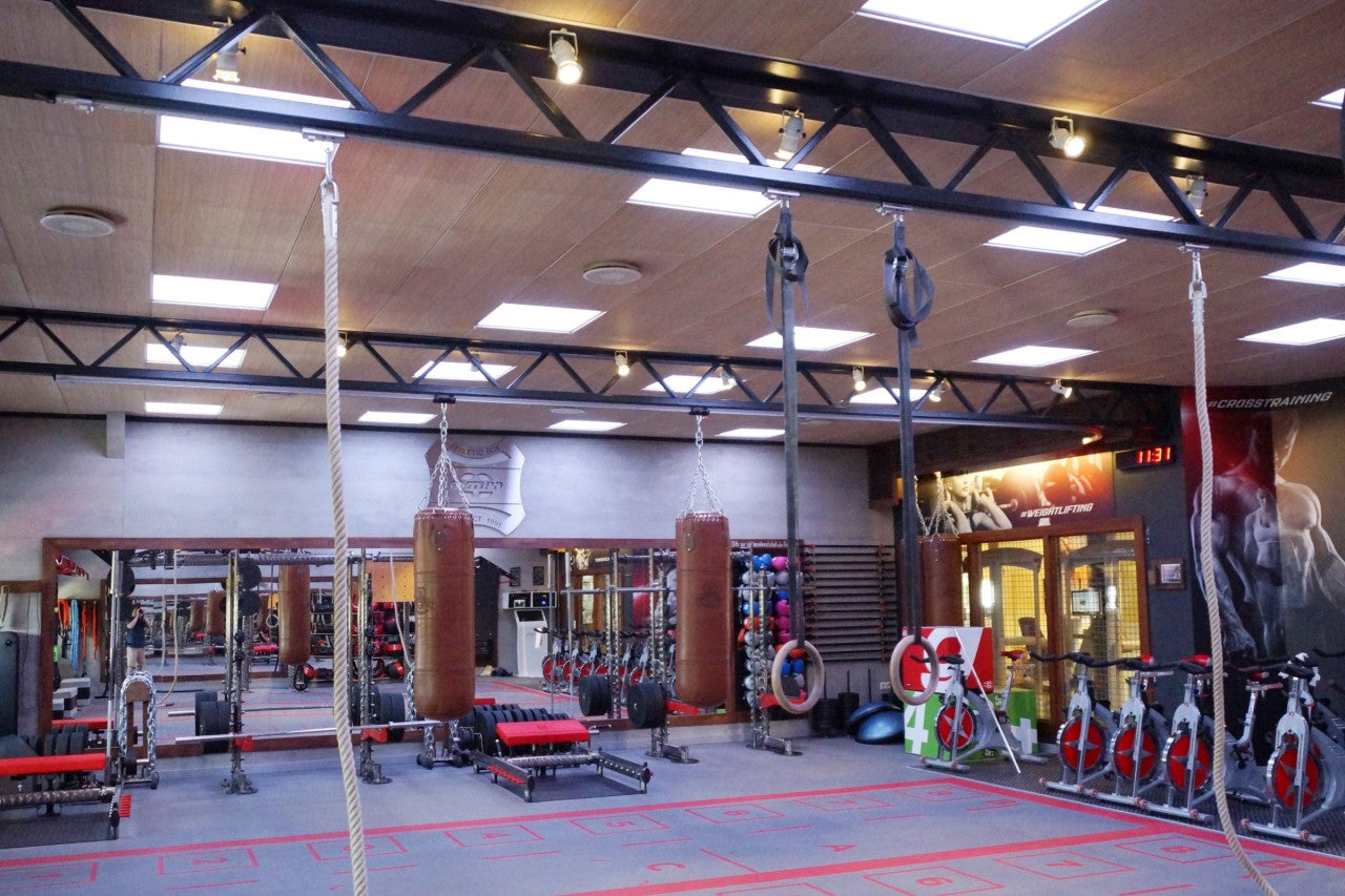 Beispielinstallation der Profischiene im Fitnessraum